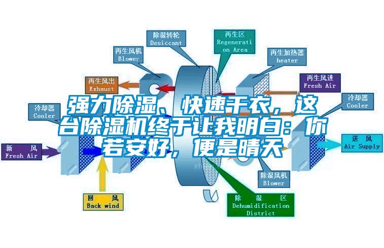 強力除濕、快速干衣，這臺除濕機終于讓我明白：你若安好，便是晴天