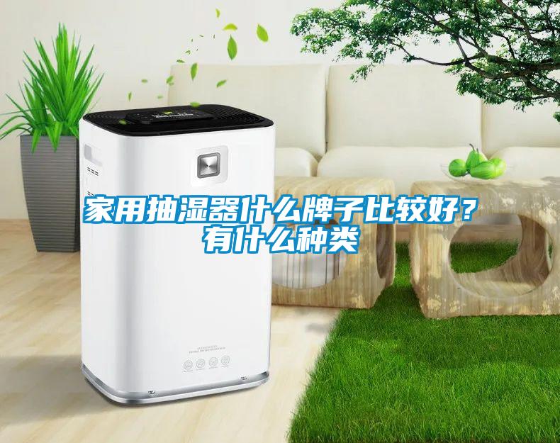 家用抽濕器什么牌子比較好？有什么種類