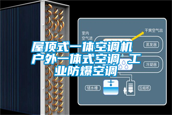 屋頂式一體空調機 戶外一體式空調 工業(yè)防爆空調