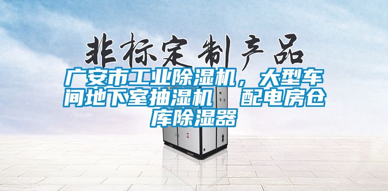 廣安市工業(yè)除濕機，大型車間地下室抽濕機  配電房倉庫除濕器