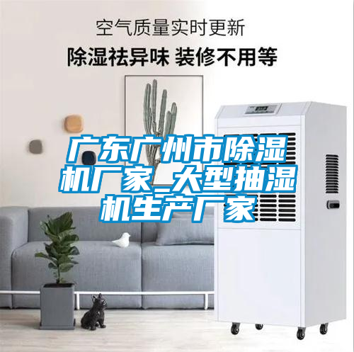 廣東廣州市除濕機廠家_大型抽濕機生產(chǎn)廠家