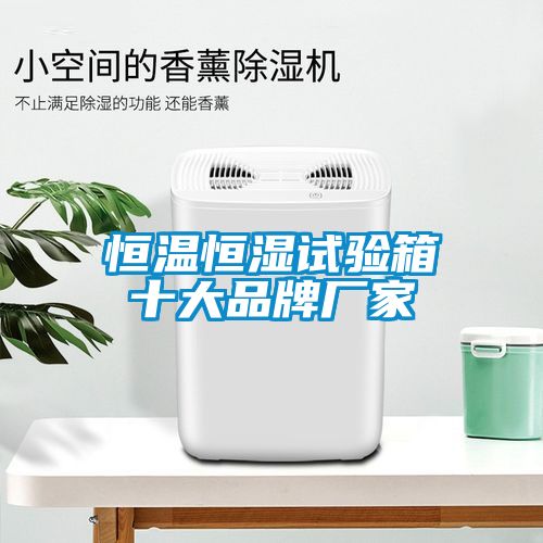 恒溫恒濕試驗(yàn)箱十大品牌廠家