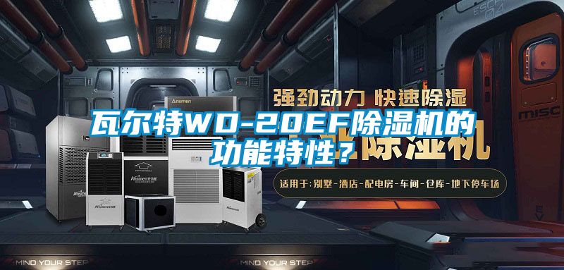 瓦爾特WD-20EF除濕機(jī)的功能特性？