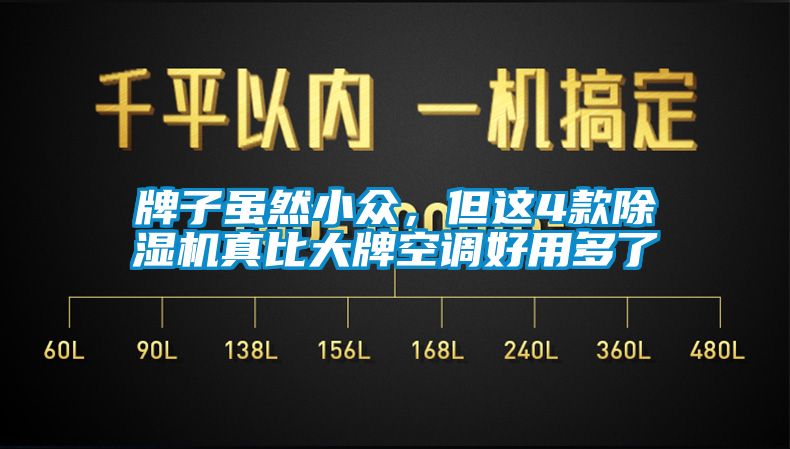 牌子雖然小眾，但這4款除濕機(jī)真比大牌空調(diào)好用多了