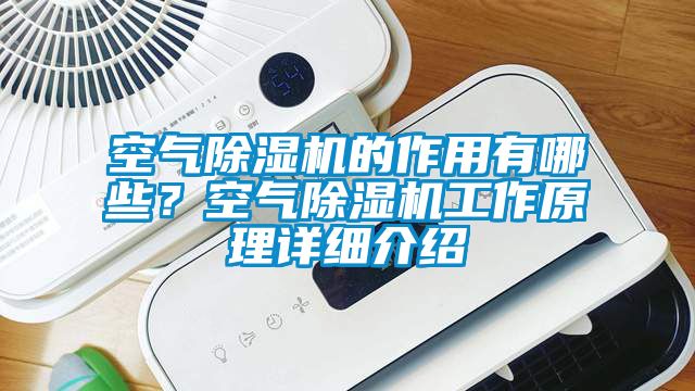 空氣除濕機的作用有哪些？空氣除濕機工作原理詳細介紹