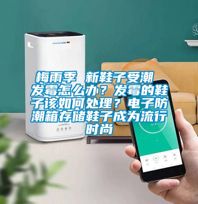 梅雨季 新鞋子受潮 發(fā)霉怎么辦？發(fā)霉的鞋子該如何處理？電子防潮箱存儲鞋子成為流行時尚