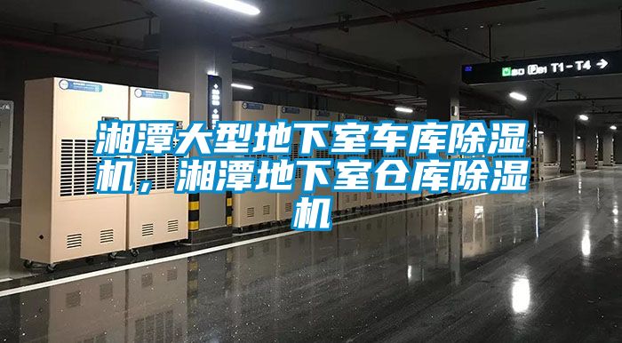 湘潭大型地下室車庫(kù)除濕機(jī)，湘潭地下室倉(cāng)庫(kù)除濕機(jī)