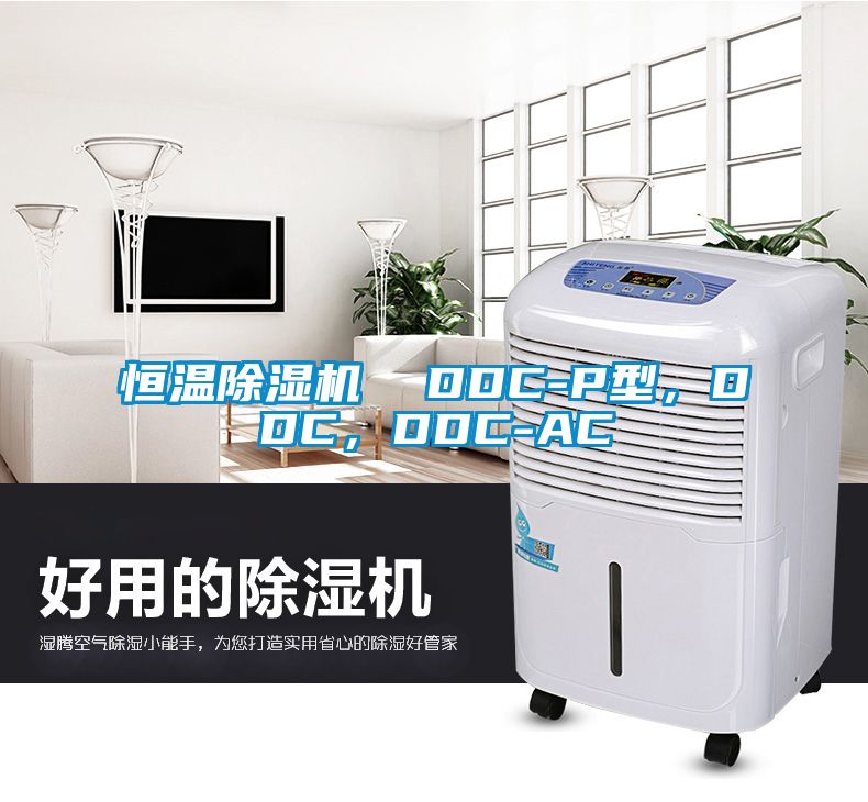 恒溫除濕機(jī)  DDC-P型，DDC，DDC-AC