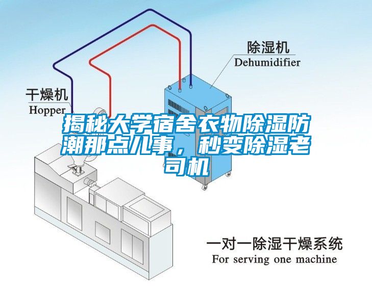 揭秘大學宿舍衣物除濕防潮那點兒事，秒變除濕老司機