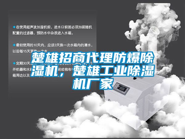 楚雄招商代理防爆除濕機，楚雄工業(yè)除濕機廠家