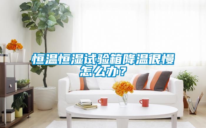 恒溫恒濕試驗(yàn)箱降溫很慢怎么辦？