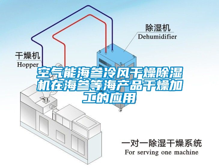 空氣能海參冷風(fēng)干燥除濕機(jī)在海參等海產(chǎn)品干燥加工的應(yīng)用