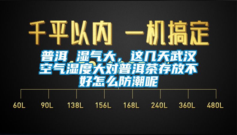 普洱 濕氣大，這幾天武漢空氣濕度大對普洱茶存放不好怎么防潮呢