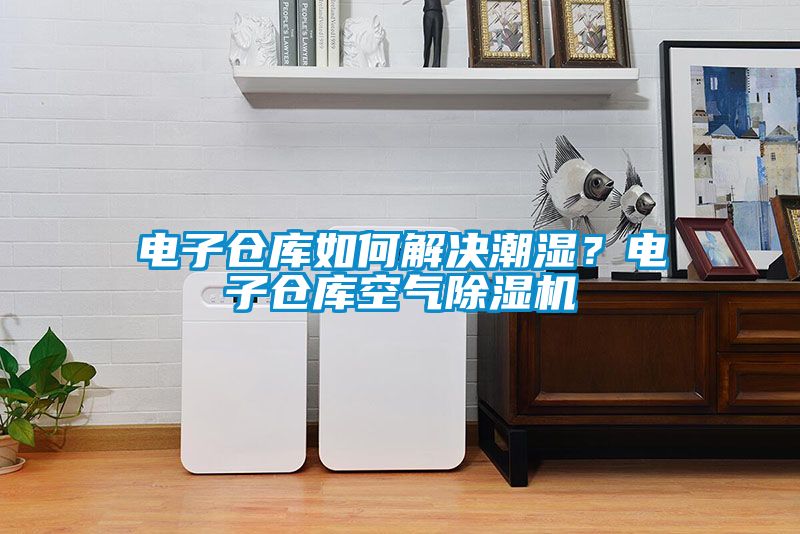 電子倉庫如何解決潮濕？電子倉庫空氣除濕機(jī)
