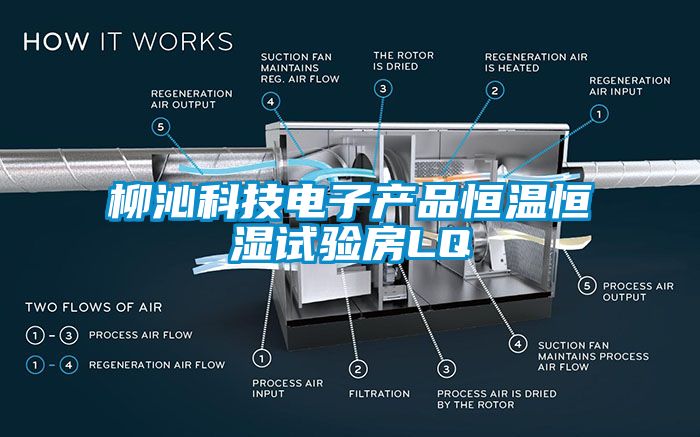 柳沁科技電子產(chǎn)品恒溫恒濕試驗(yàn)房LQ