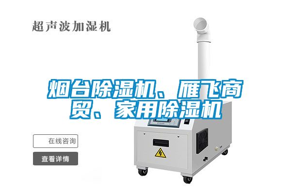 煙臺除濕機、雁飛商貿(mào)、家用除濕機