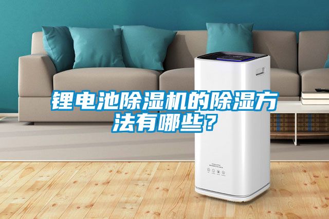 鋰電池除濕機的除濕方法有哪些？