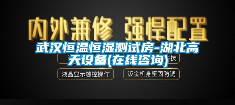 武漢恒溫恒濕測試房-湖北高天設備(在線咨詢)