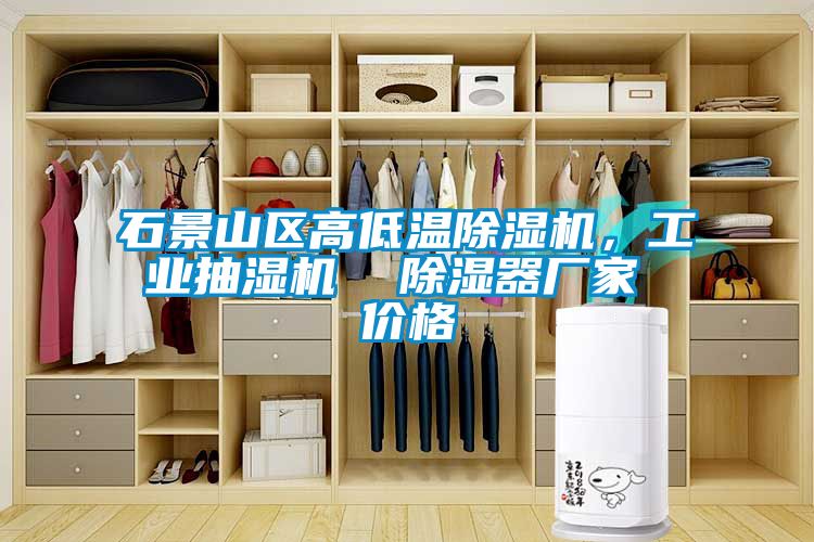 石景山區(qū)高低溫除濕機，工業(yè)抽濕機  除濕器廠家 價格