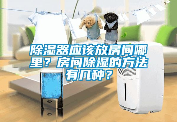 除濕器應(yīng)該放房間哪里？房間除濕的方法有幾種？