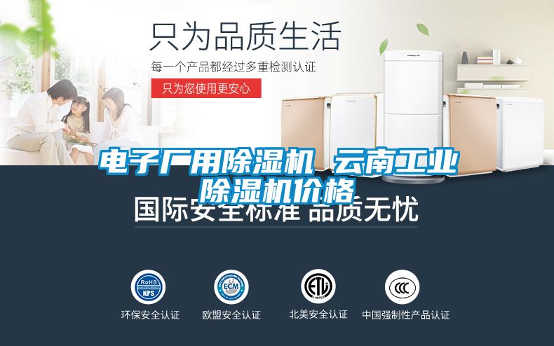 電子廠用除濕機(jī) 云南工業(yè)除濕機(jī)價格