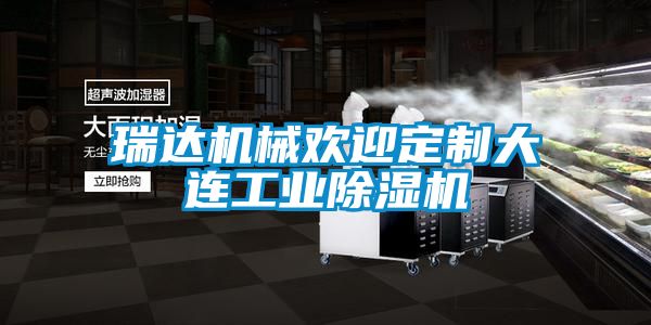 瑞達(dá)機械歡迎定制大連工業(yè)除濕機