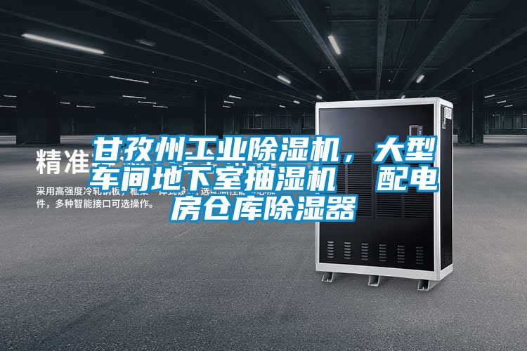 甘孜州工業(yè)除濕機，大型車間地下室抽濕機  配電房倉庫除濕器