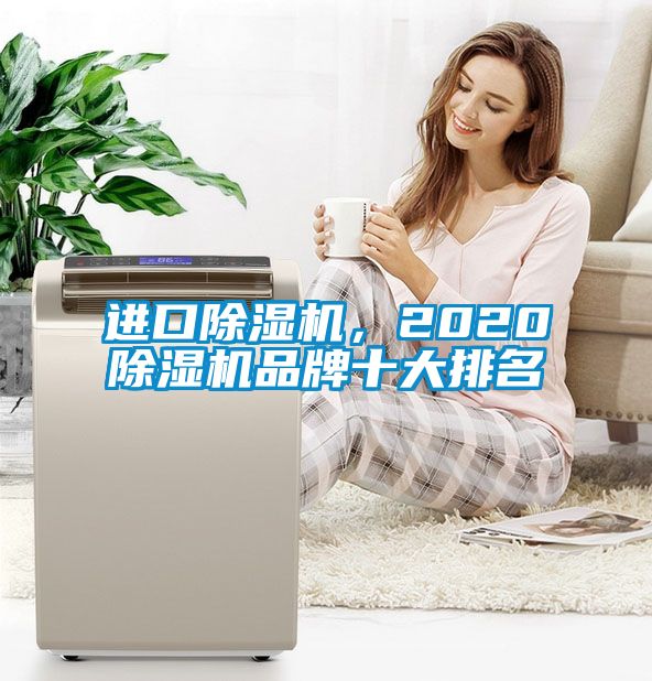 進(jìn)口除濕機(jī)，2020除濕機(jī)品牌十大排名