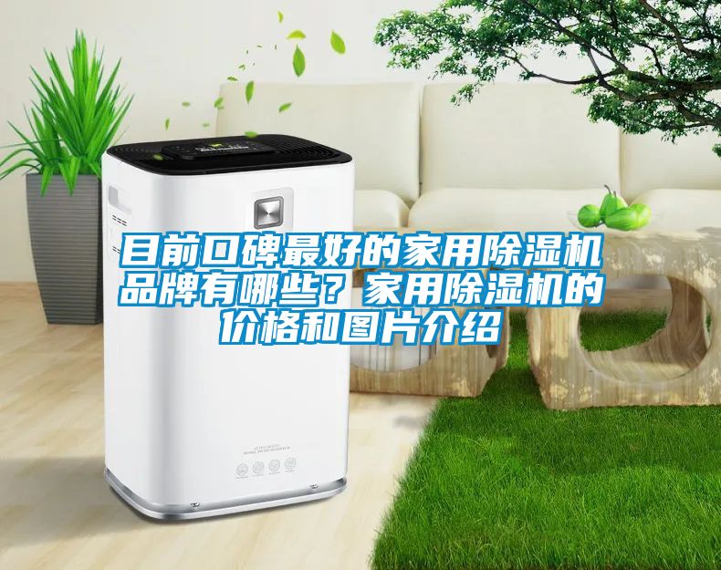 目前口碑最好的家用除濕機品牌有哪些？家用除濕機的價格和圖片介紹