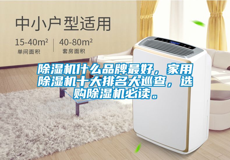 除濕機(jī)什么品牌最好，家用除濕機(jī)十大排名大巡查，選購除濕機(jī)必讀。