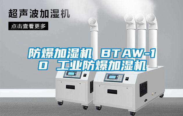 防爆加濕機 BTAW-10 工業(yè)防爆加濕機