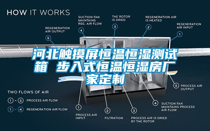 河北觸摸屏恒溫恒濕測試箱 步入式恒溫恒濕房廠家定制