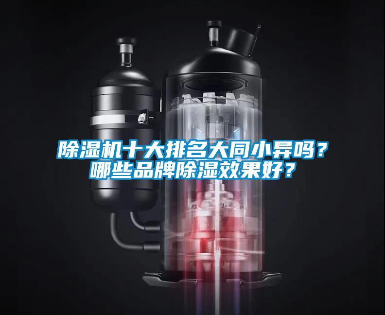 除濕機(jī)十大排名大同小異嗎？哪些品牌除濕效果好？