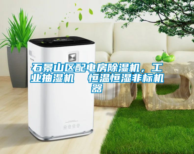 石景山區(qū)配電房除濕機(jī)，工業(yè)抽濕機(jī)  恒溫恒濕非標(biāo)機(jī)器