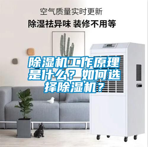 除濕機(jī)工作原理是什么？如何選擇除濕機(jī)？