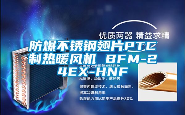 防爆不銹鋼翅片PTC制熱暖風(fēng)機 BFM-24EX-HNF