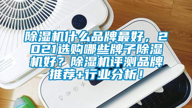 除濕機(jī)什么品牌最好，2021選購哪些牌子除濕機(jī)好？除濕機(jī)評(píng)測(cè)品牌推薦+行業(yè)分析！