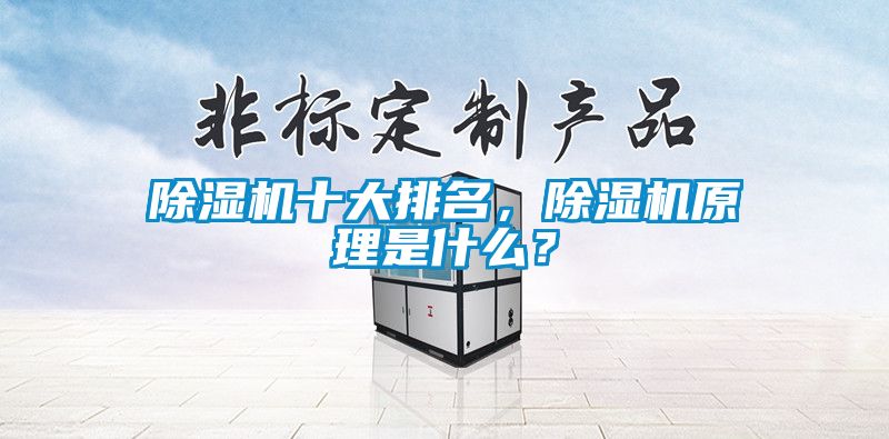 除濕機(jī)十大排名，除濕機(jī)原理是什么？