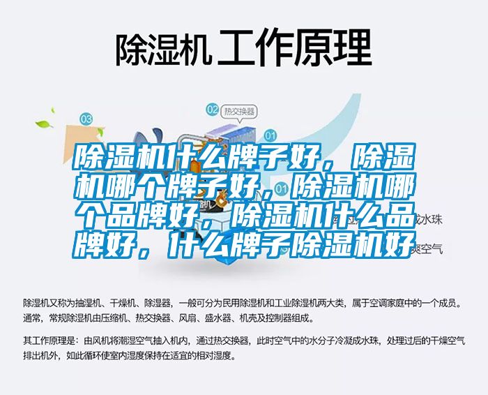 除濕機什么牌子好，除濕機哪個牌子好，除濕機哪個品牌好，除濕機什么品牌好，什么牌子除濕機好