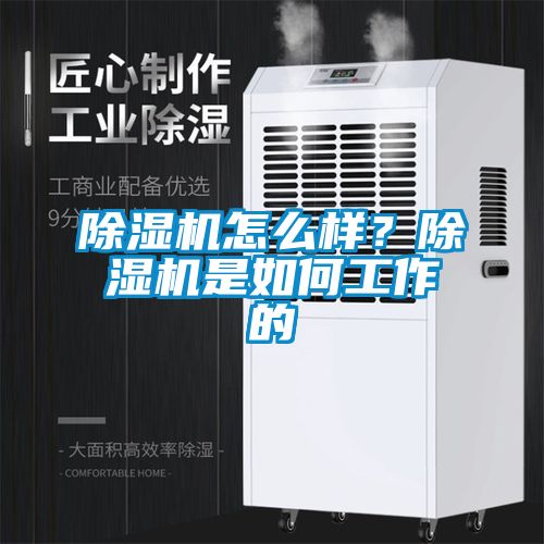 除濕機(jī)怎么樣？除濕機(jī)是如何工作的