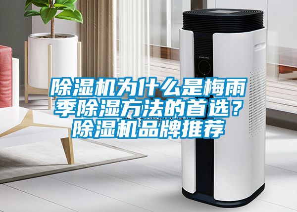 除濕機(jī)為什么是梅雨季除濕方法的首選？除濕機(jī)品牌推薦