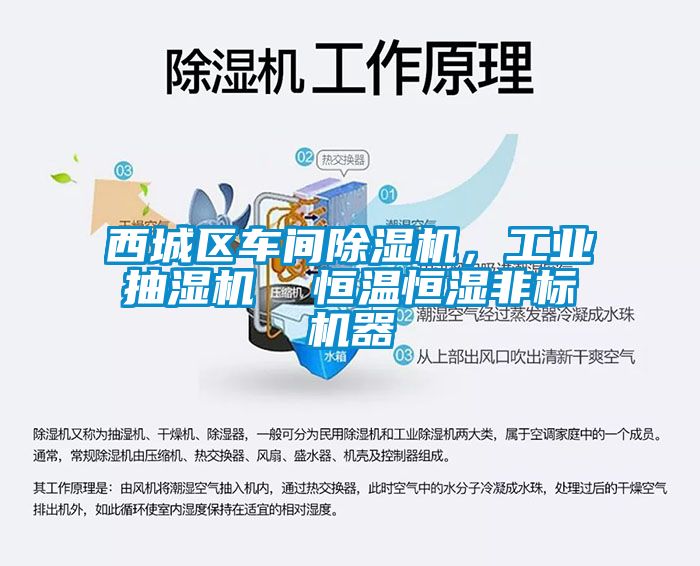 西城區(qū)車間除濕機，工業(yè)抽濕機  恒溫恒濕非標機器