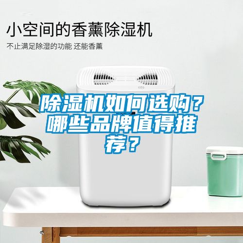 除濕機如何選購？哪些品牌值得推薦？