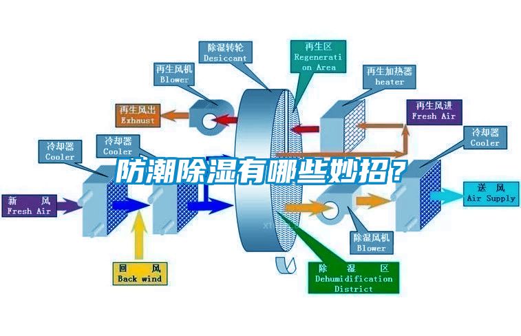 防潮除濕有哪些妙招？