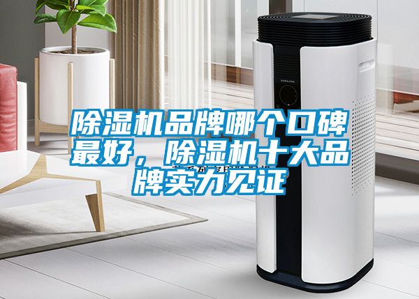 除濕機品牌哪個口碑最好，除濕機十大品牌實力見證