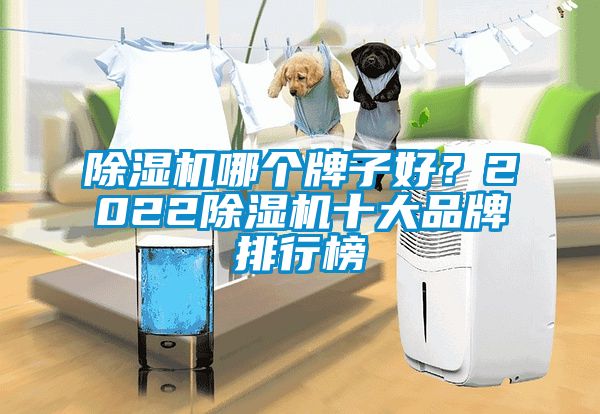 除濕機哪個牌子好？2022除濕機十大品牌排行榜