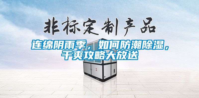 連綿陰雨季，如何防潮除濕，干爽攻略大放送