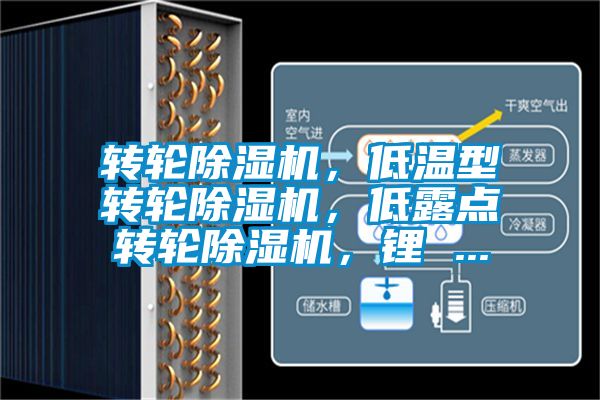 轉(zhuǎn)輪除濕機，低溫型轉(zhuǎn)輪除濕機，低露點轉(zhuǎn)輪除濕機，鋰 ...