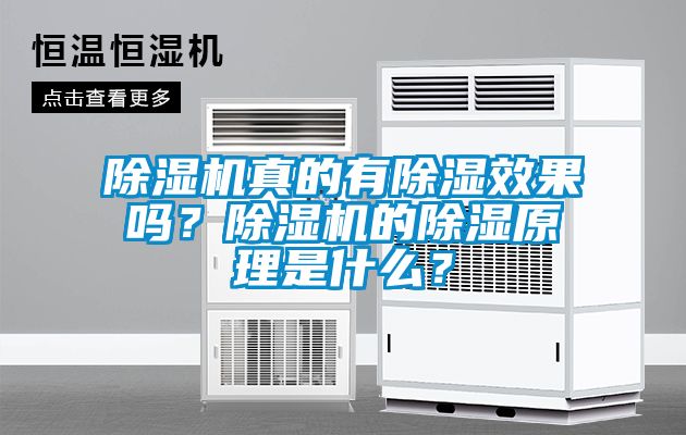 除濕機真的有除濕效果嗎？除濕機的除濕原理是什么？