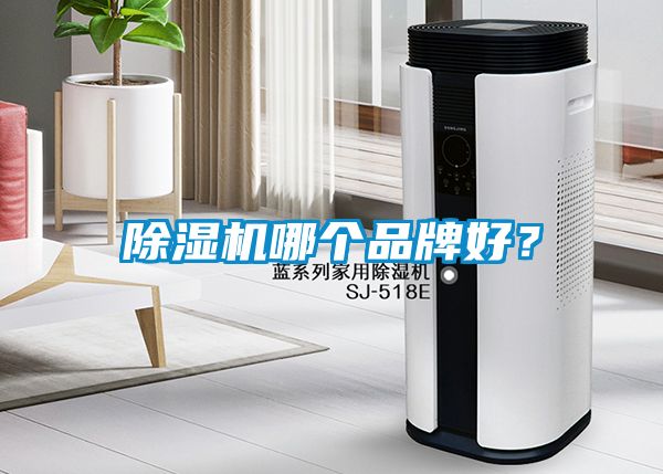 除濕機哪個品牌好？